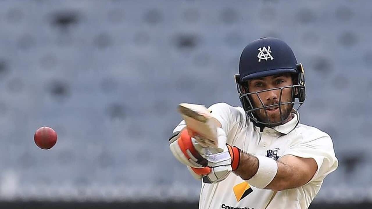 Glenn Maxwell of Victoria plays a shot