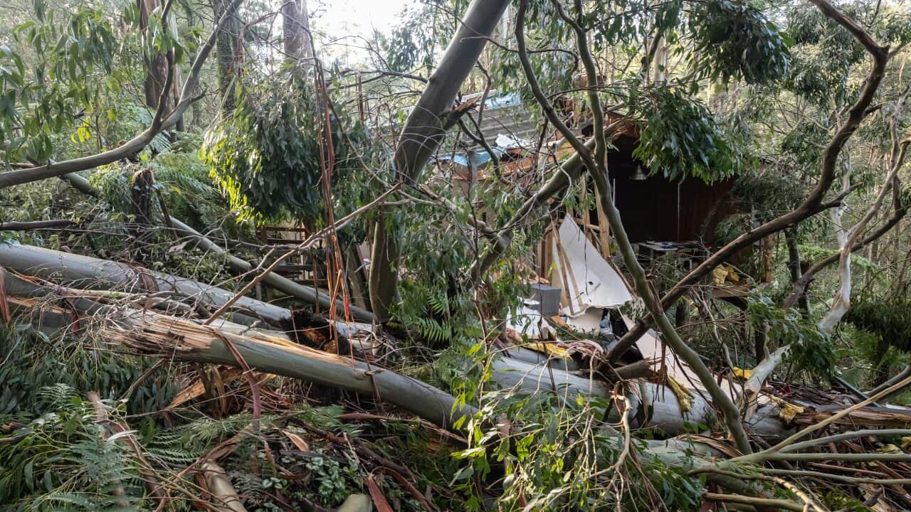 A damaged house is seen in Olinda, Melbourne, Tuesday, June 15, 2021. (AAP Image/Daniel Pockett) NO ARCHIVING