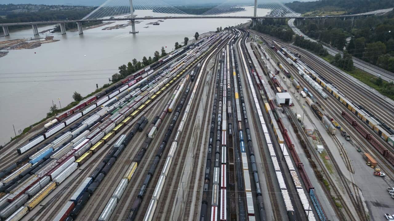 Train cars are seen on the tracks in an aerial view at Canadian National Rail's Thornton Yard.