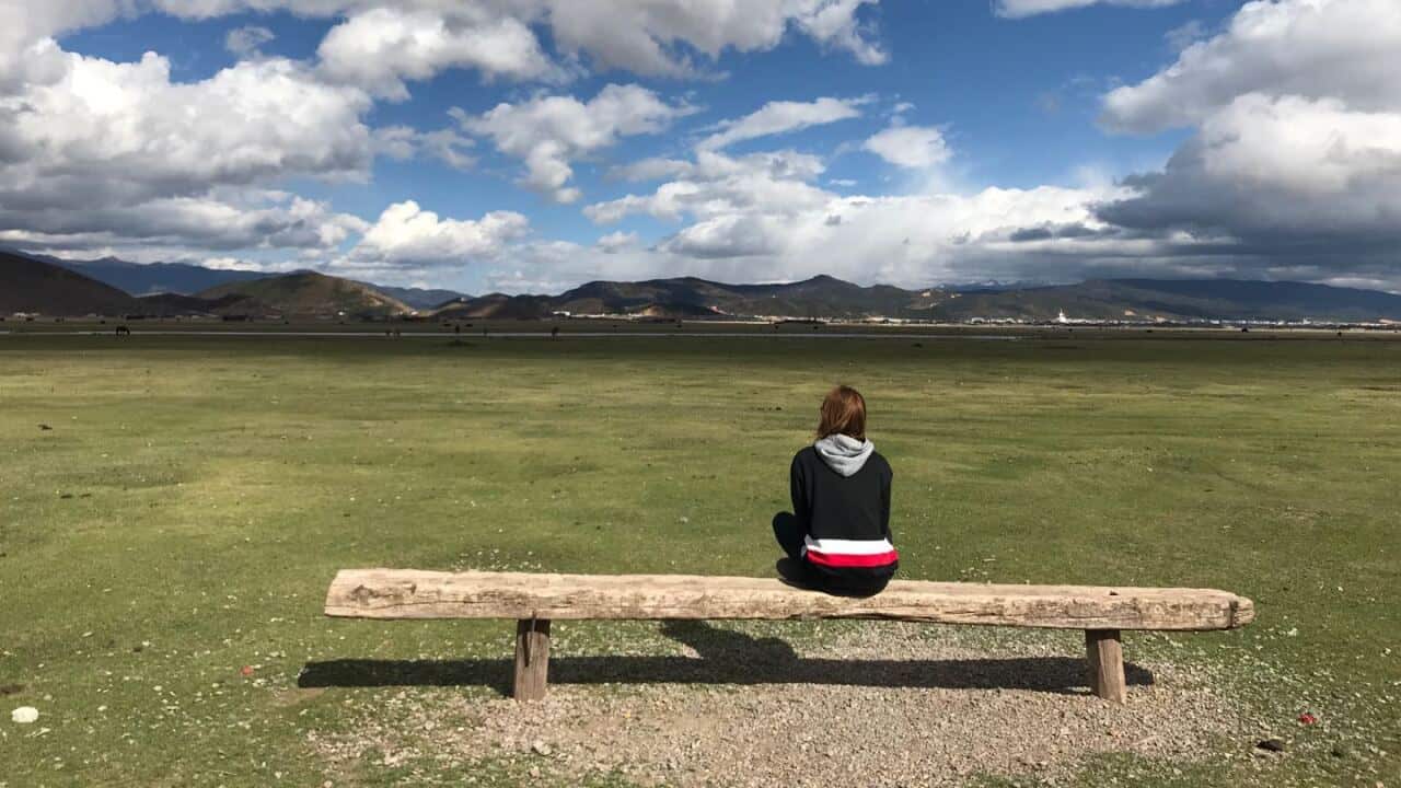 Image for read more article ''