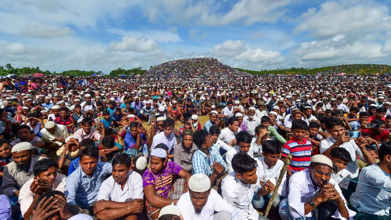 Rohingya Genocide.jpg