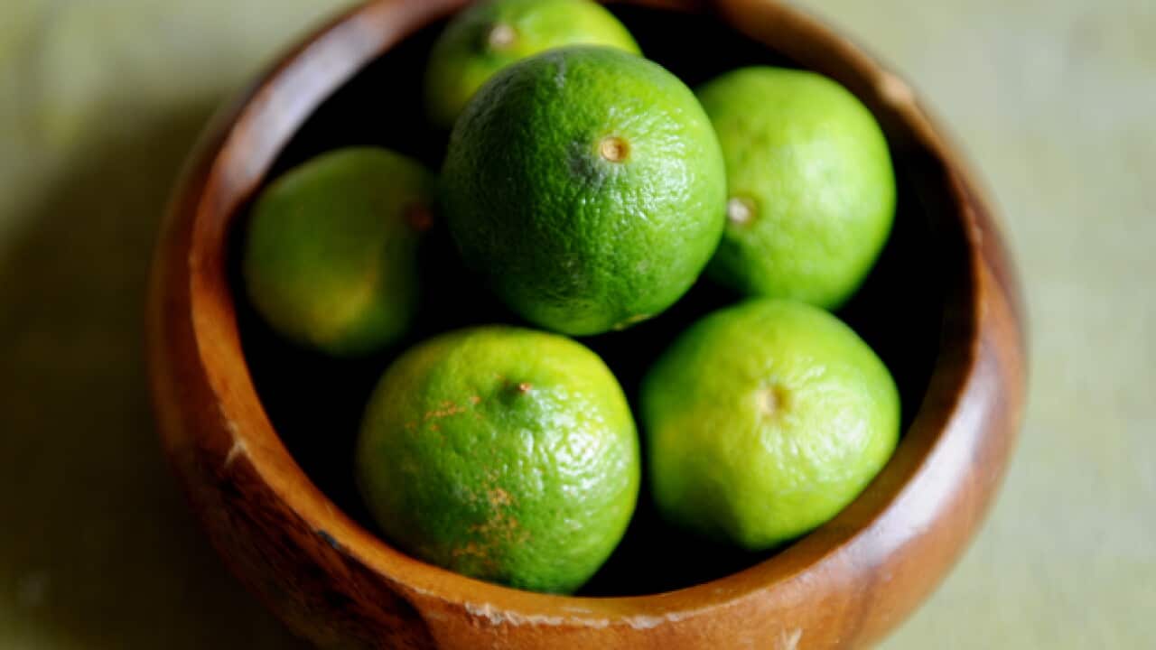 Lime_B_AAP_2015025093