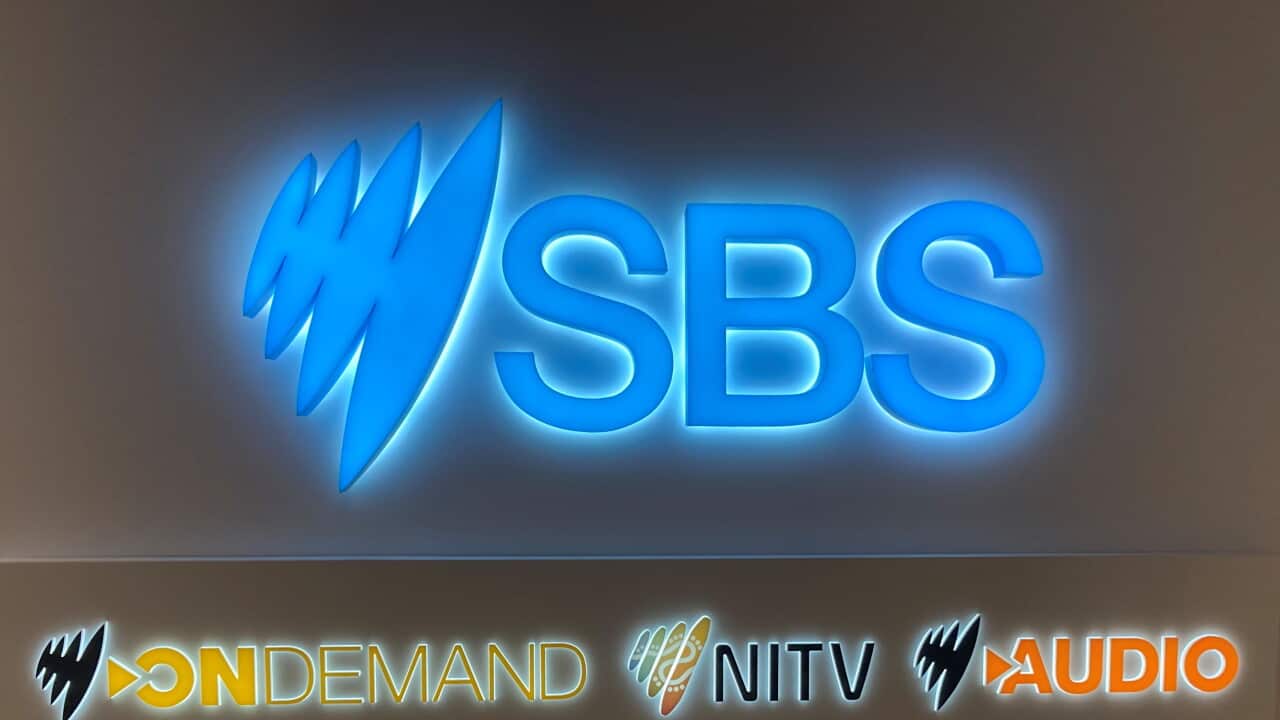 SBS Sign & TV Channels .jpg