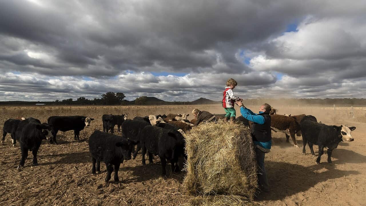 Farmers in NSW.