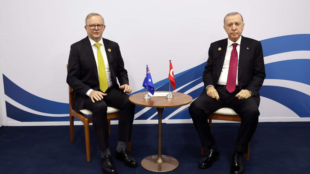 Image for read more article 'READ MORE'