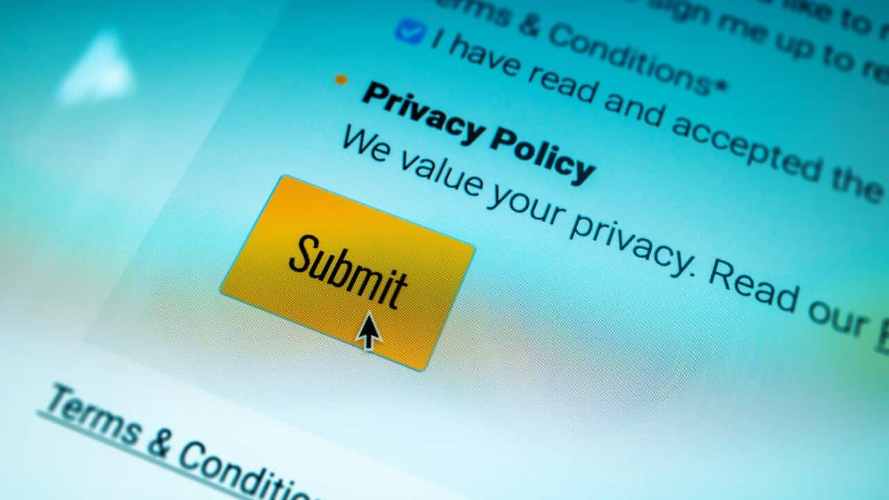 Privacy policy submit button
