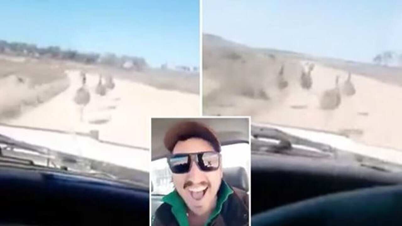 Emu Killer Jacob MacDonald.