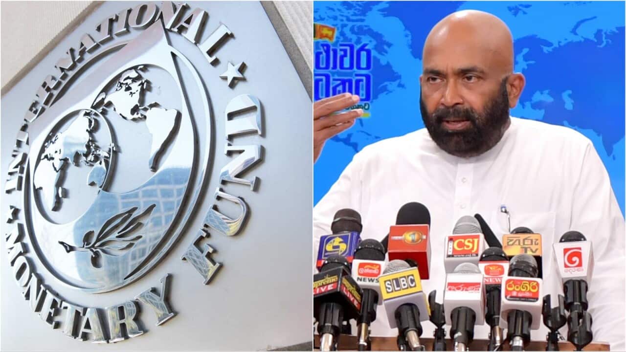 Collage Maker-29-Sep-2023-12-46-PM-9260.jpg