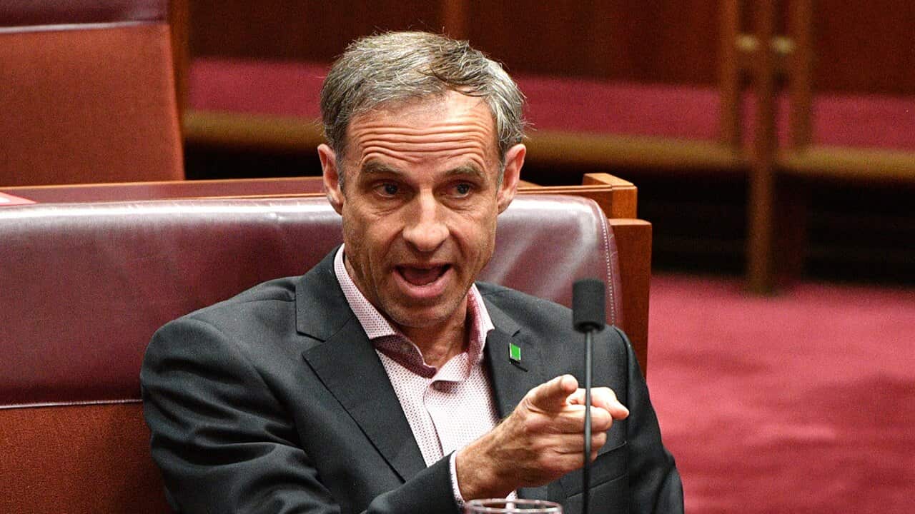 Australian Greens Senator Nick McKim during Question Time in the Senate chamber