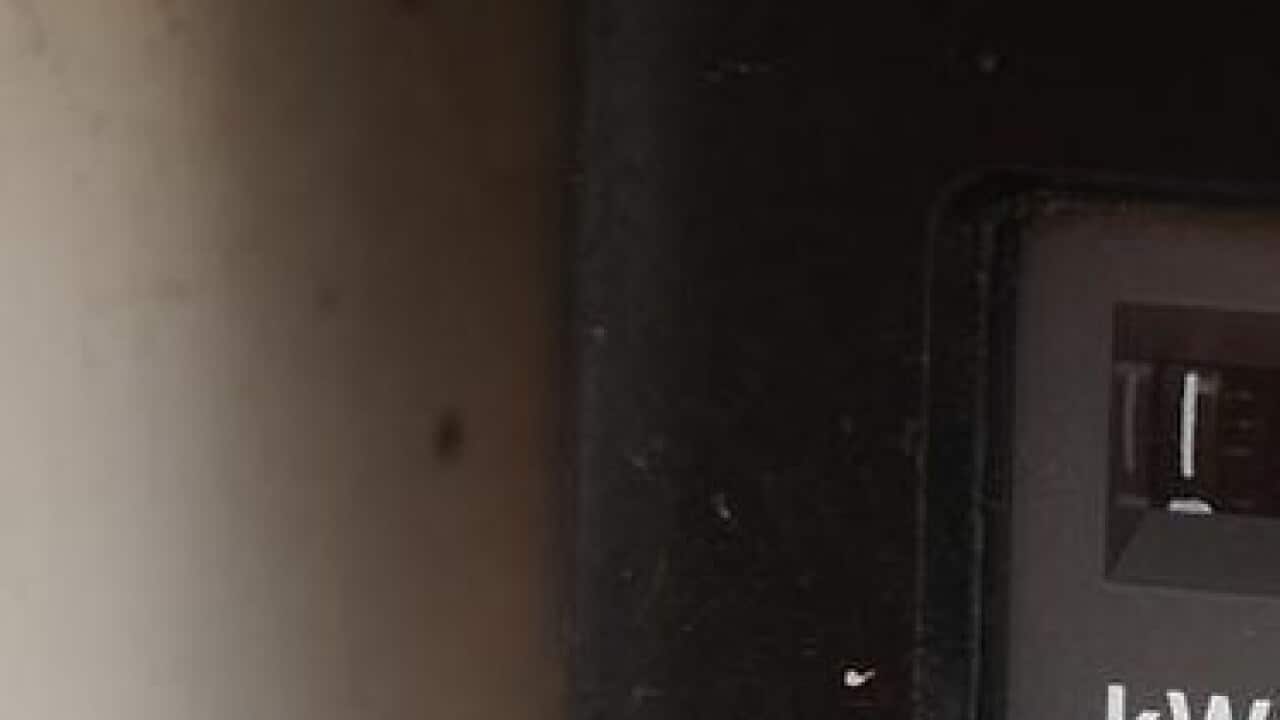 Image for read more article 'Más información:'