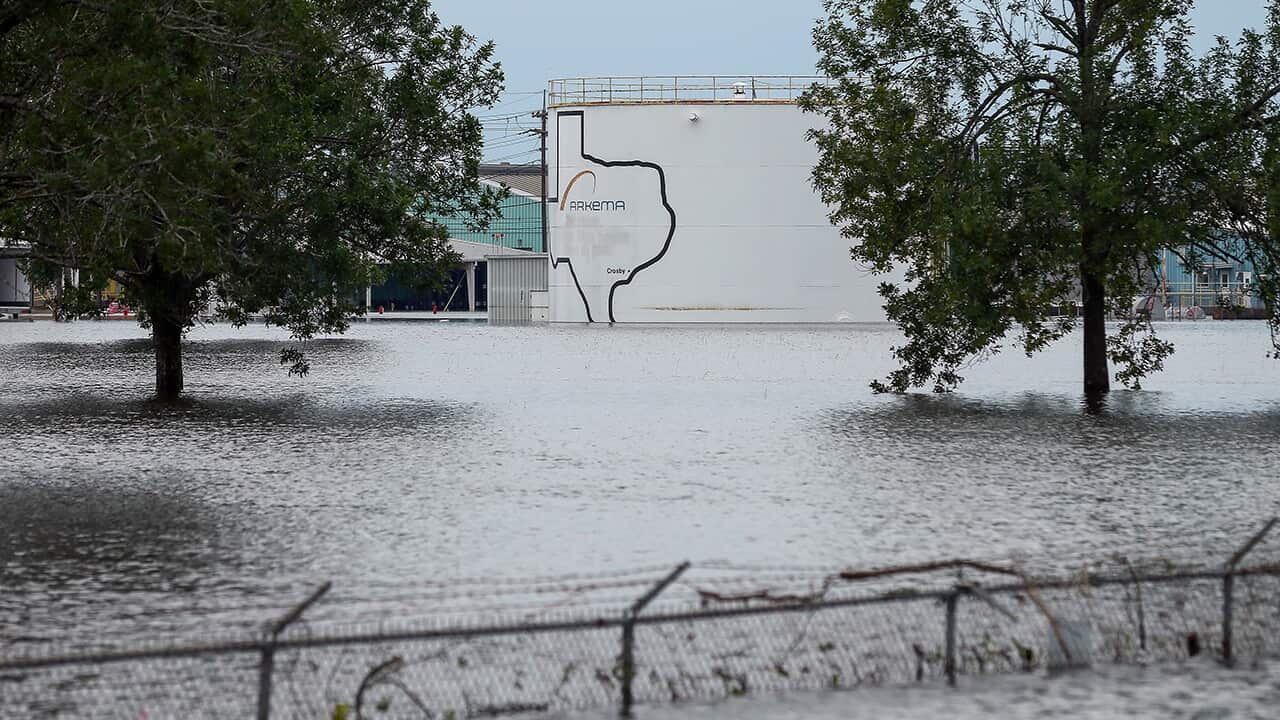 Harvey