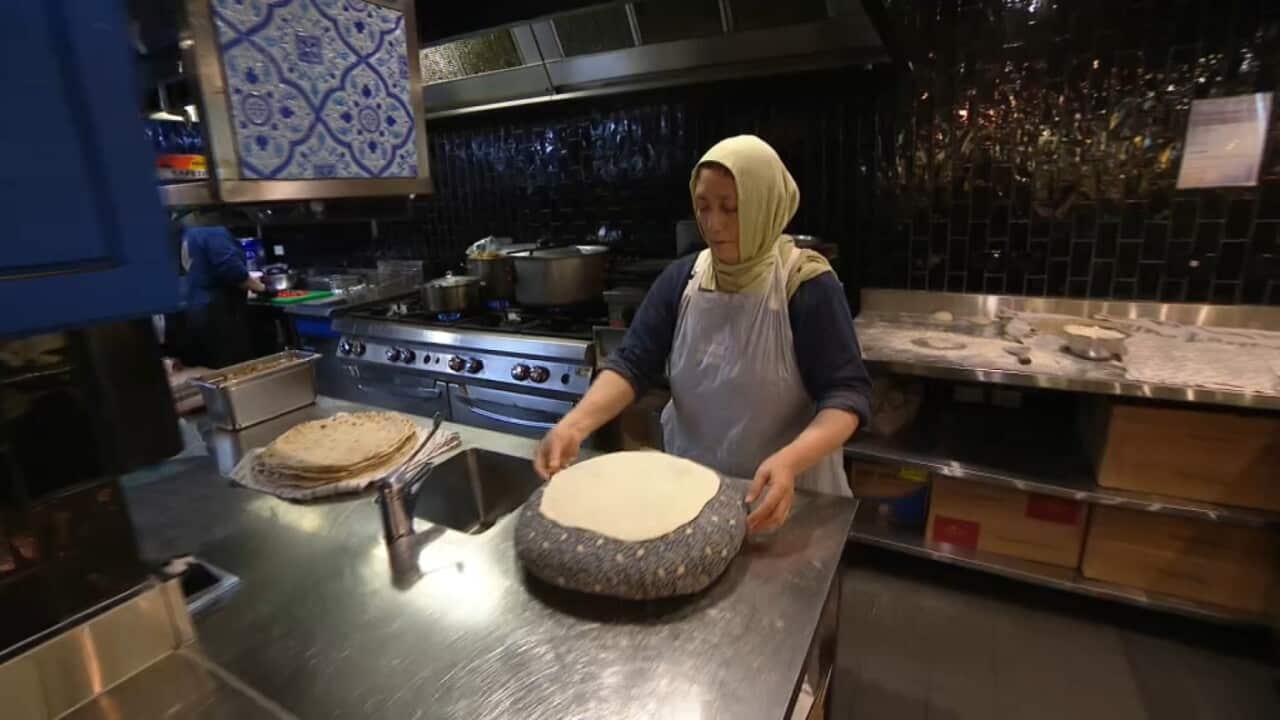 Roya Moeen at work (SBS).jpg