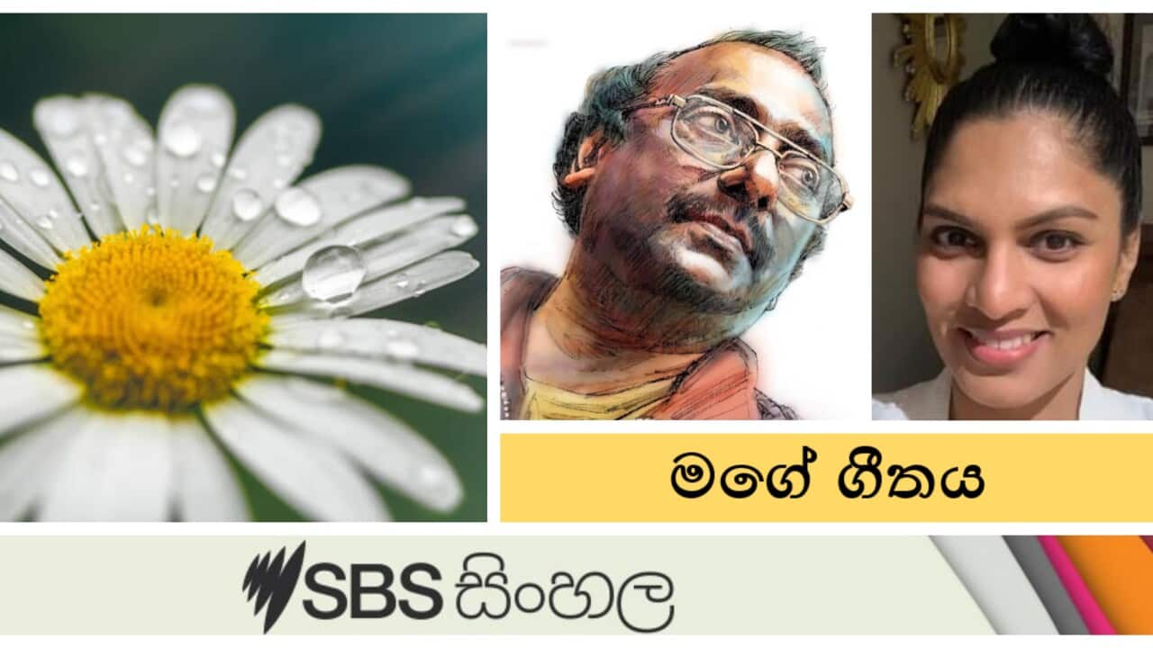 My song - Oct 2023.jpg