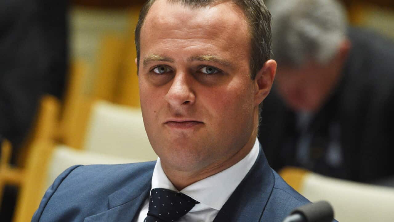 Human Rights Commissioner Tim Wilson