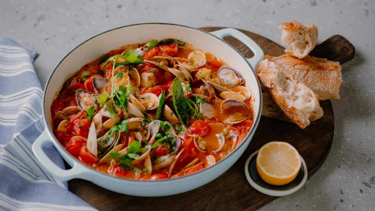 Pipis and vongole with tomato, fenugreek and chilli