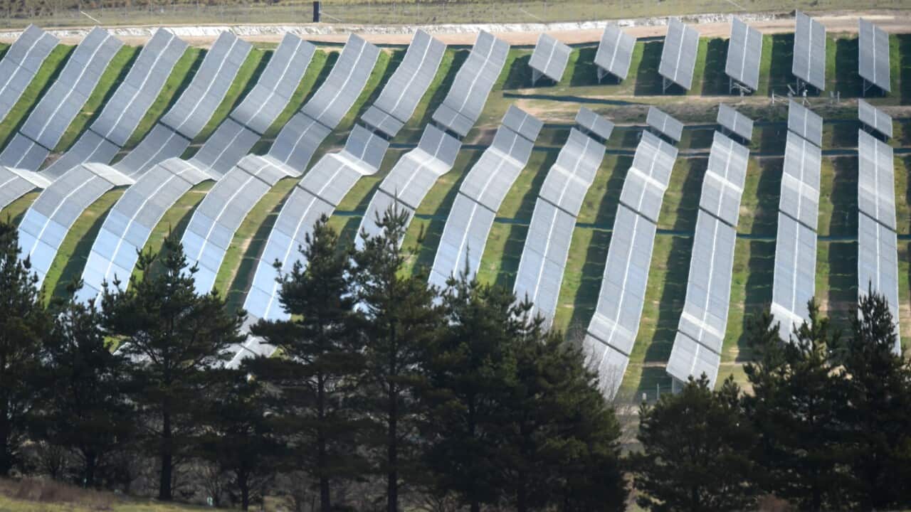 The FRV Royalla solar farm is seen in Royalla near Canberra