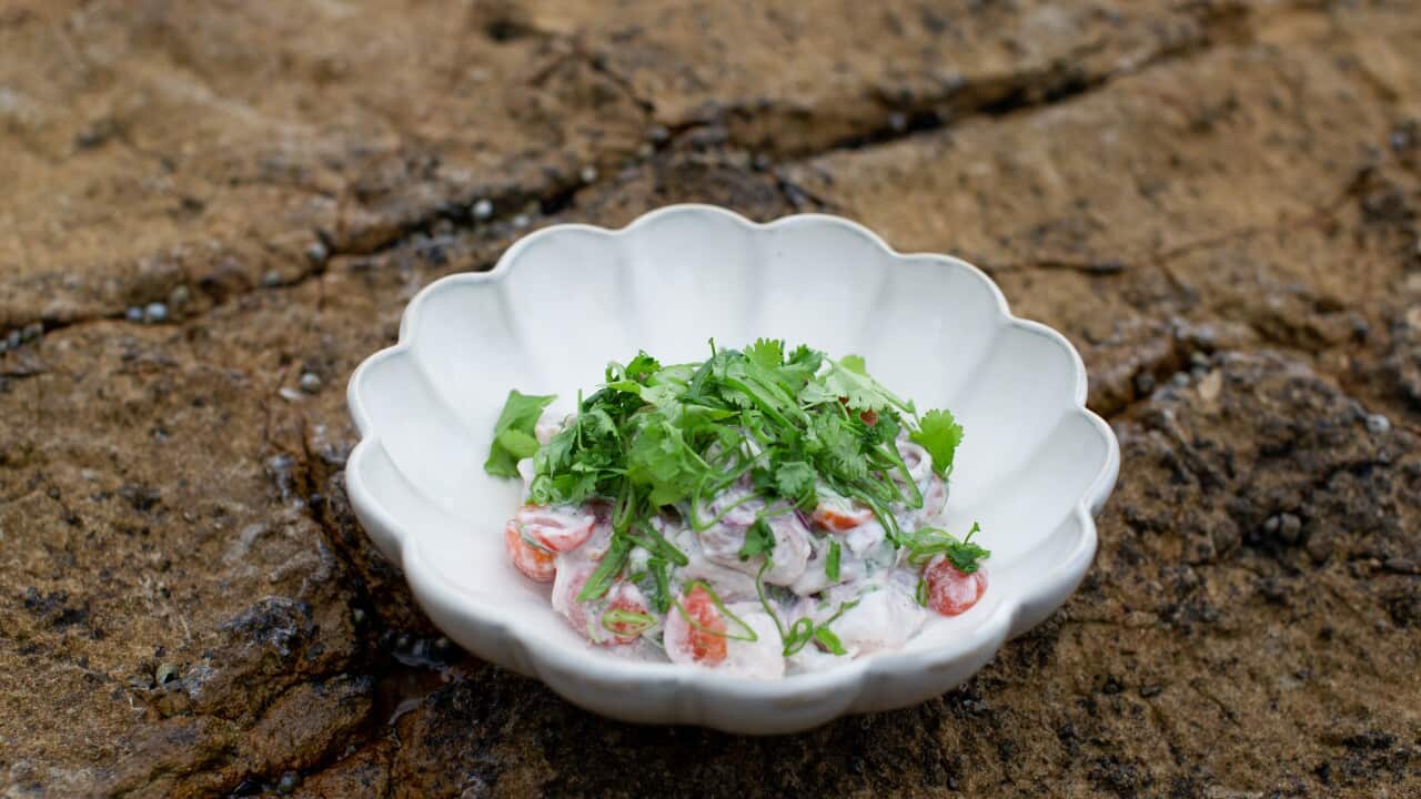 Leatherjacket and wrasse kokonda