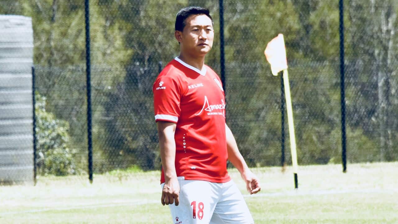 2018 world cup comments