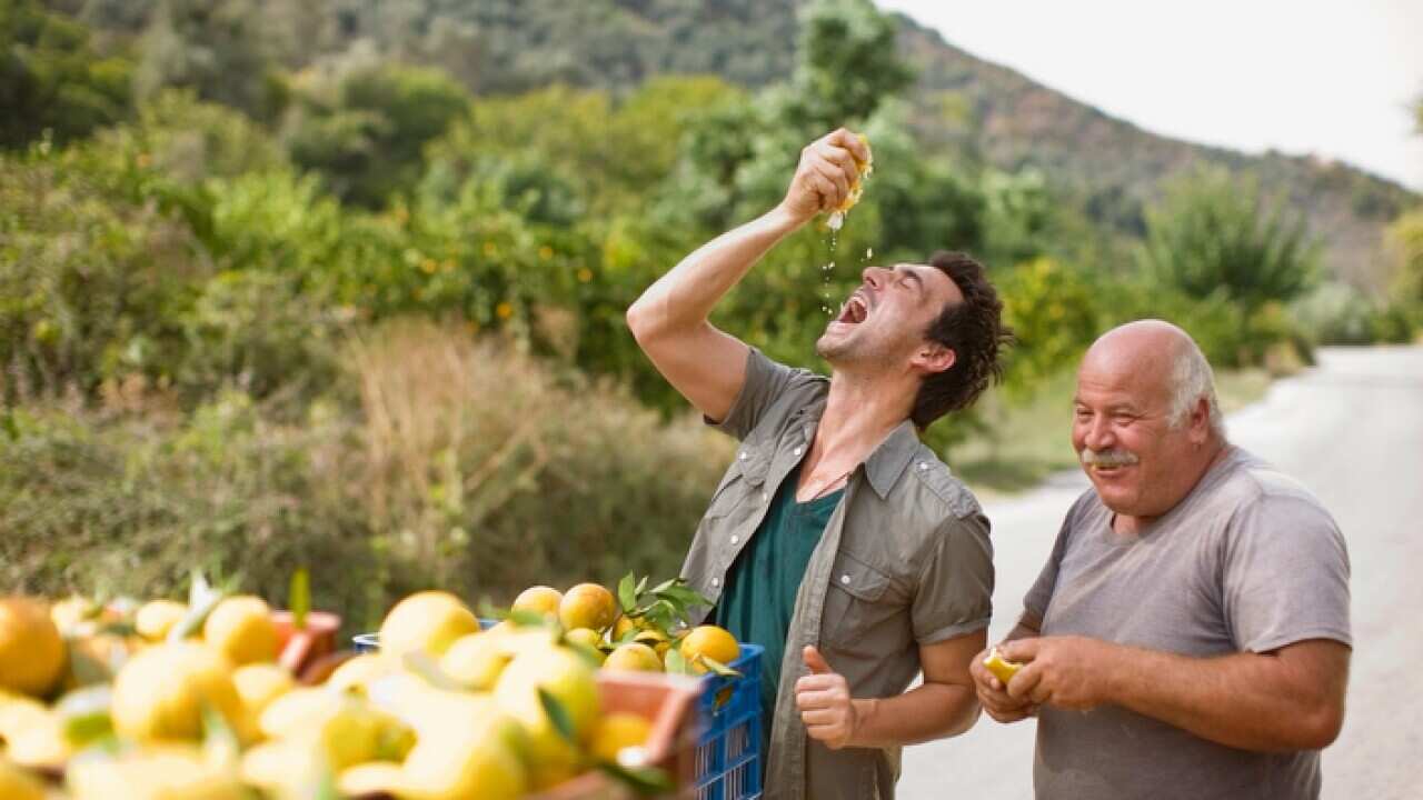 Men squashing oranges