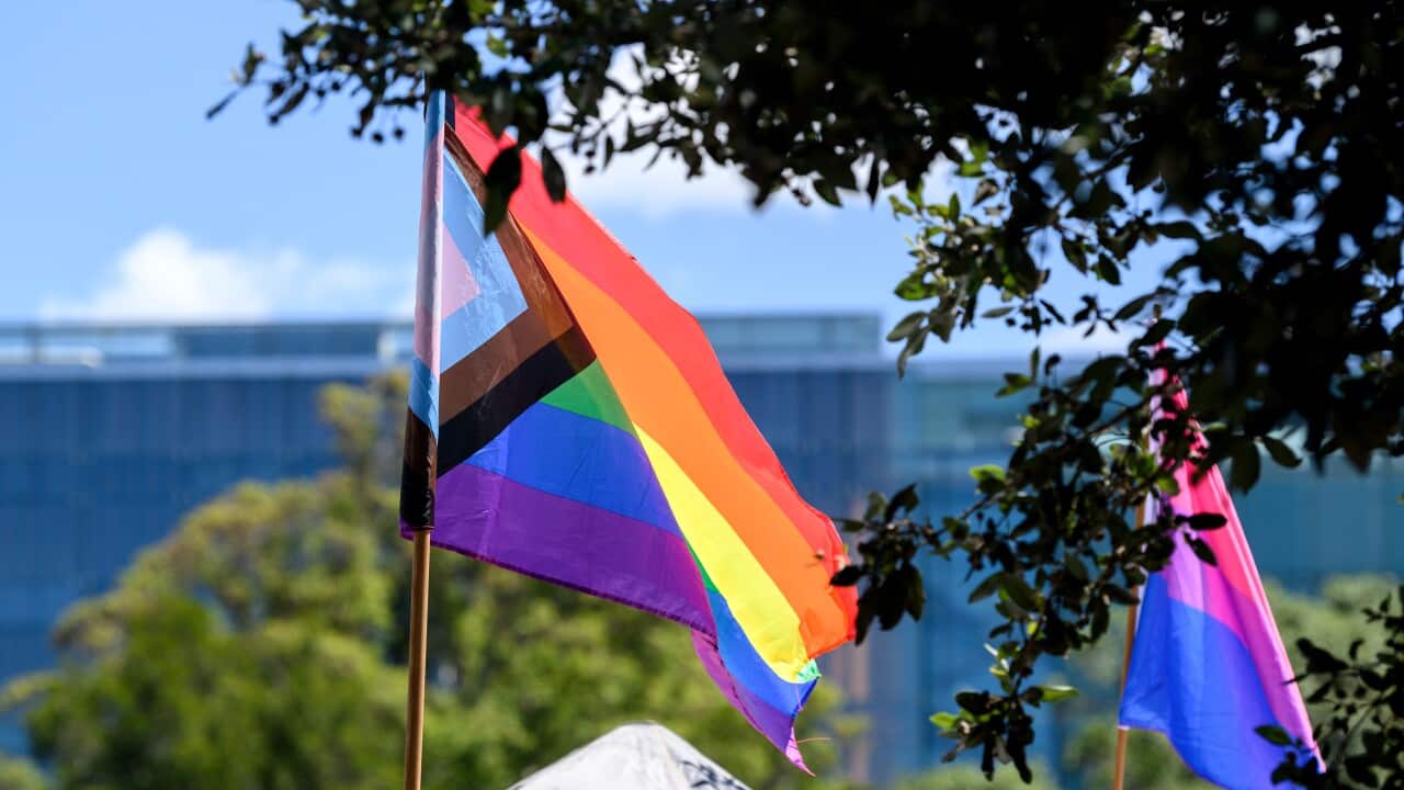 SYDNEY MARDI GRAS FAIR DAY 2025