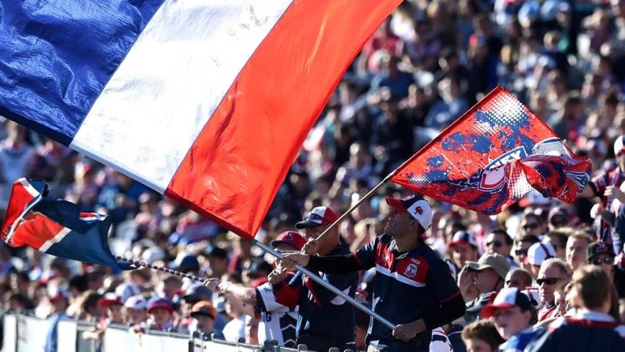 Roosters fans cheer on their team