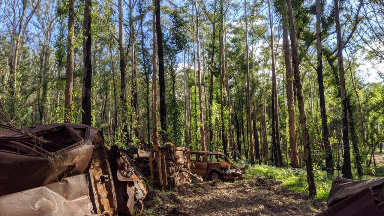 Image for read more article ''