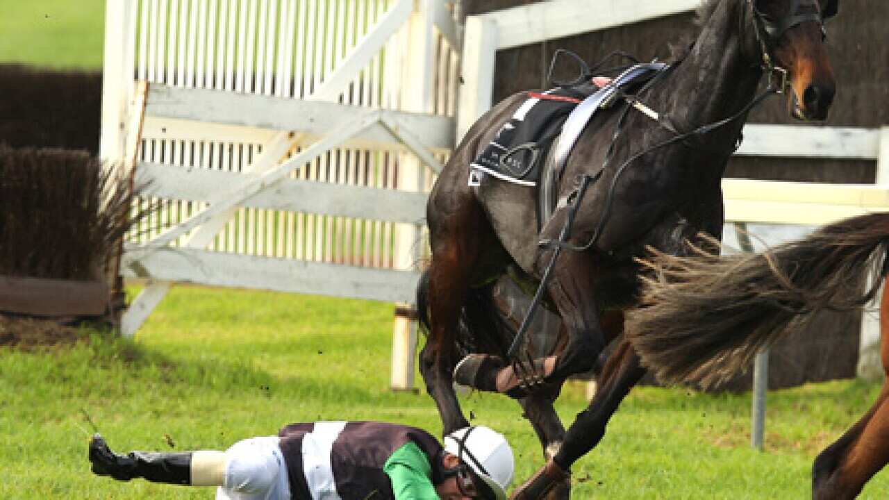 horseracing_fall_100506_B_getty_1569752934