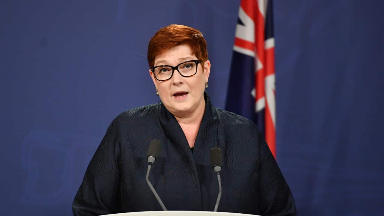Australian Foreign Affairs Minister Marise Payne during a press conference in Sydney,