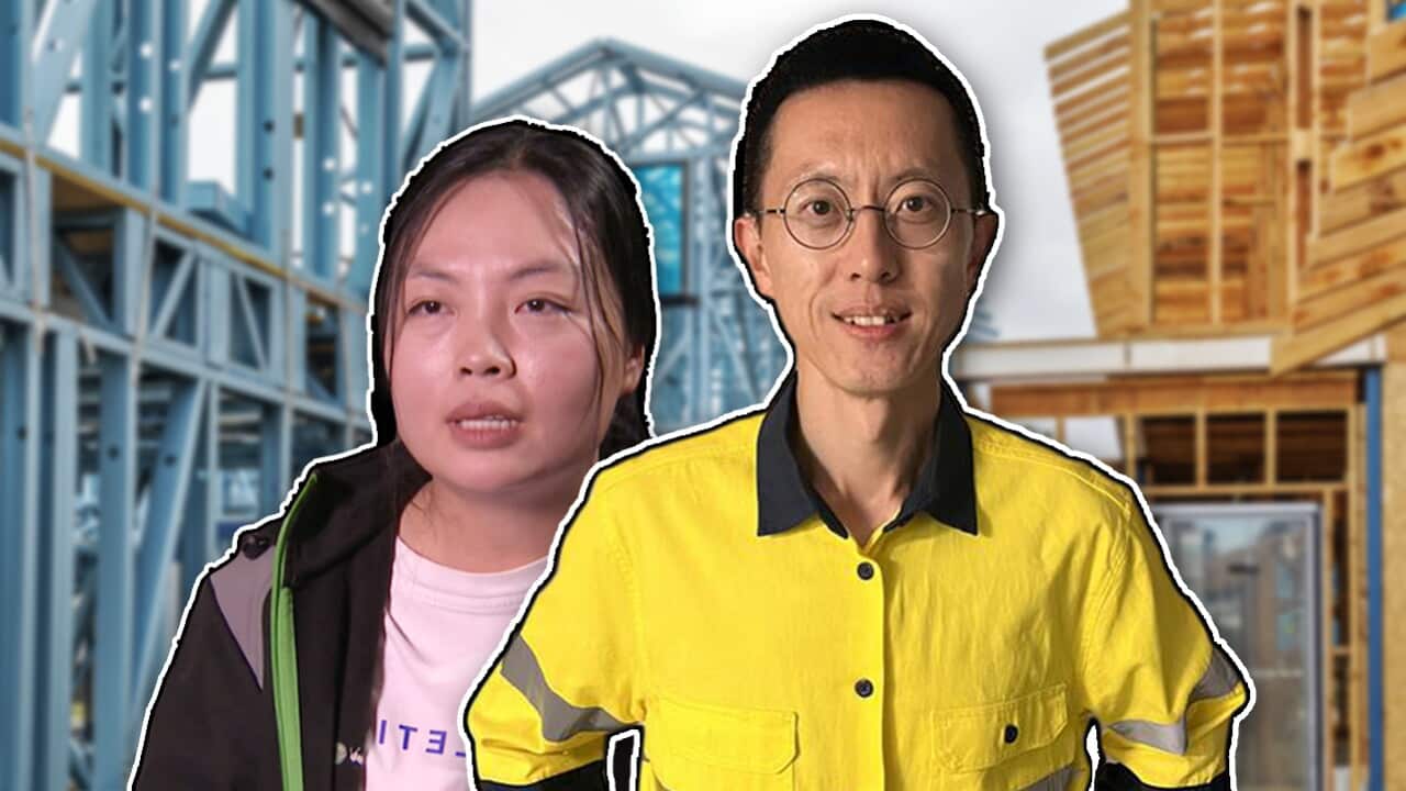 300524 SC SKILLED IMMIGRATION THUMBNAIL cLEAN.jpg