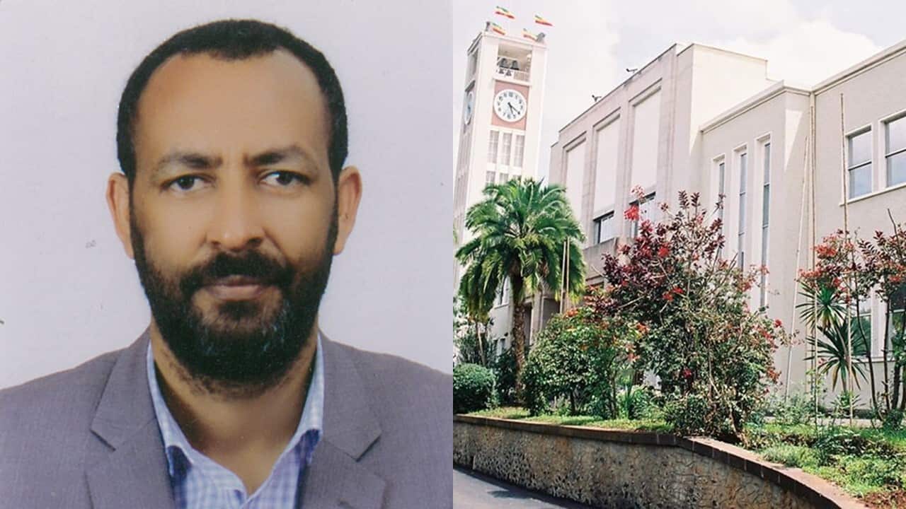 Interview with Dr Wondwossen Demissie