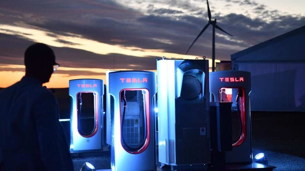 ELON MUSK TESLA JAMESTOWN VISIT