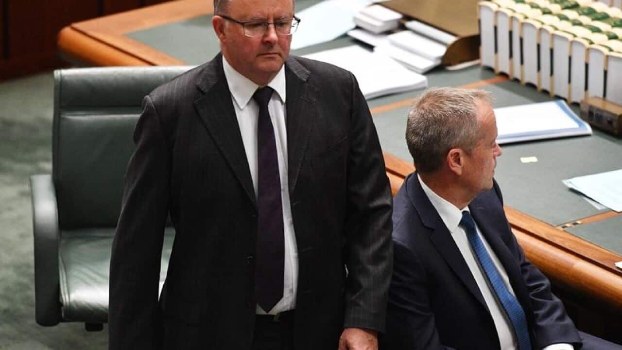 Anthony Albanese and Leader of the Opposition Bill Shorten