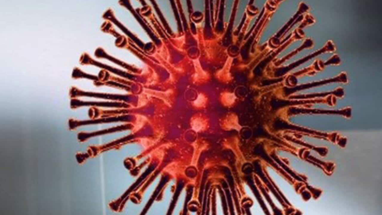 h1n1_virus_graphic_red_BBC_B_2407_1481553817