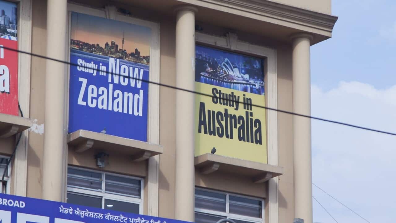 A shopfront in Punjab advertising student visa services (SBS).jpg