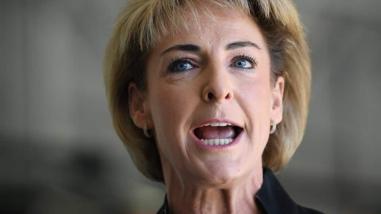 Employment Minister Michaelia Cash