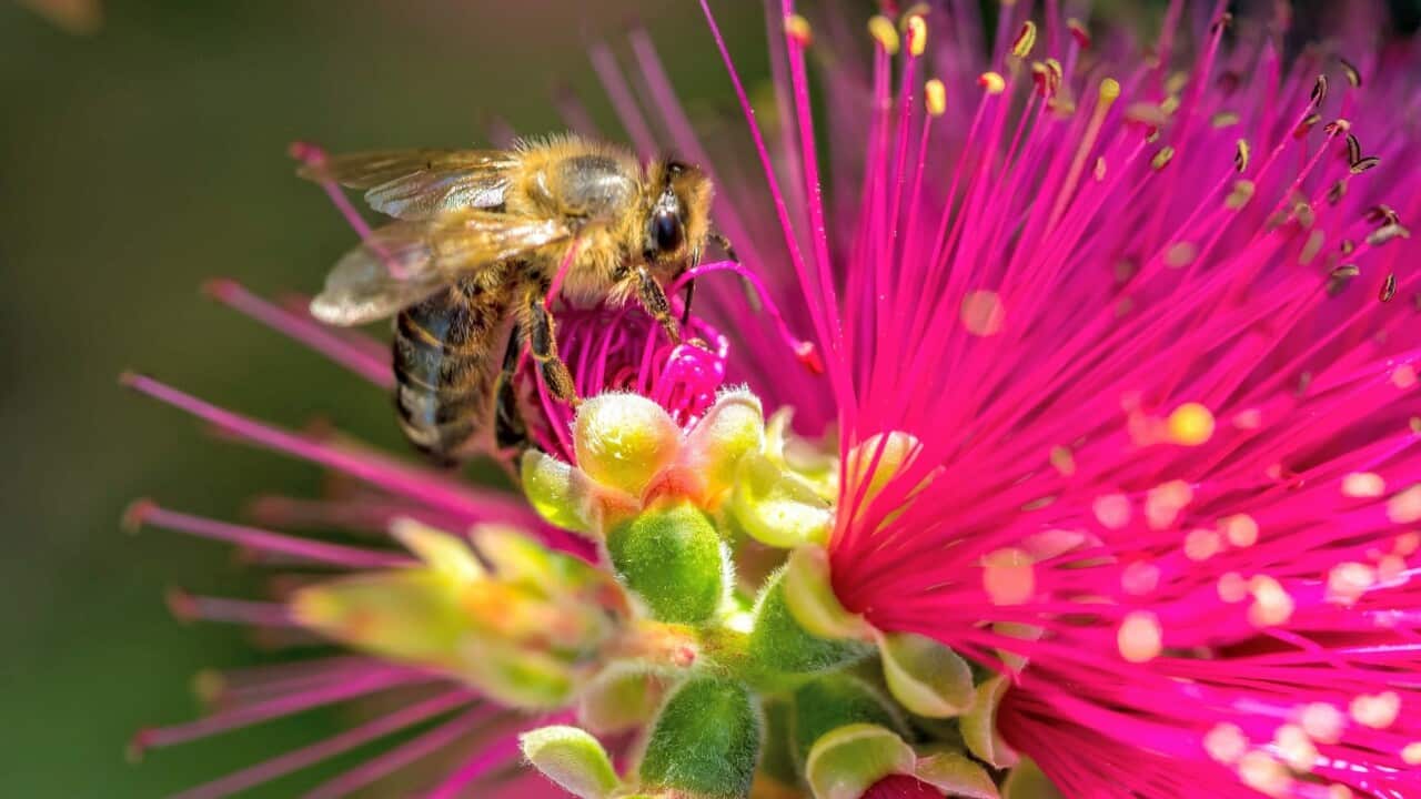 Image for read more article 'Potrebbe interessarti anche:'