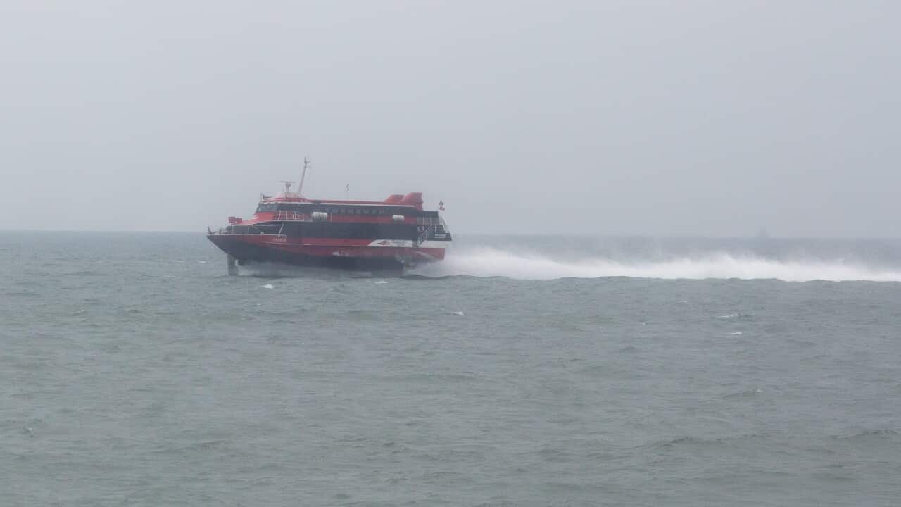 A Turbo Jet ferry, similar to the one that was involved in an accident on 25 October night, sails toward Hong Kong in the Pearl River Delta close to Hong Kong, China, 26 October 2015. (EPA/JEROME FAVRE)