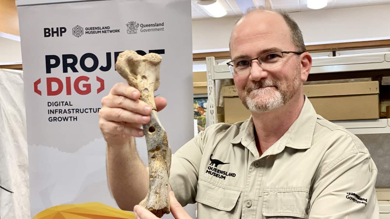 Image for read more article 'READ MORE'