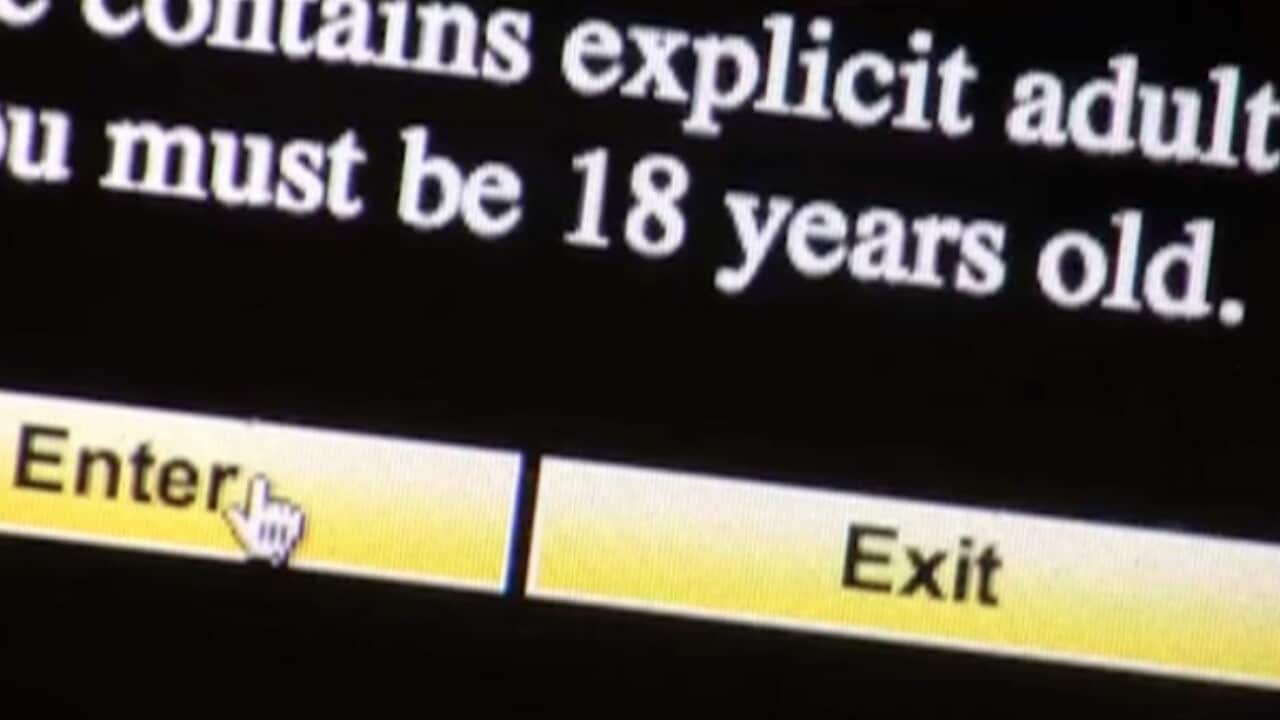 Love and Sex in an Age of Pornography