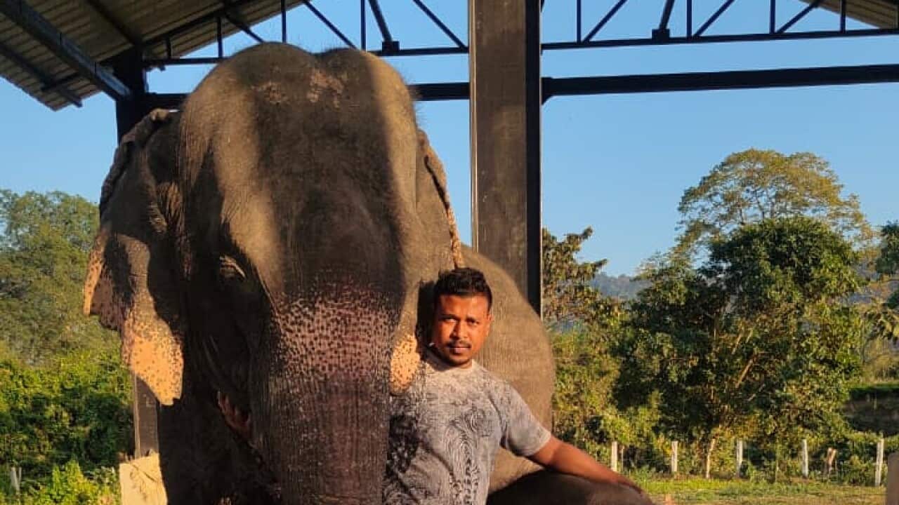 Bipin with Elephant 1.jpeg