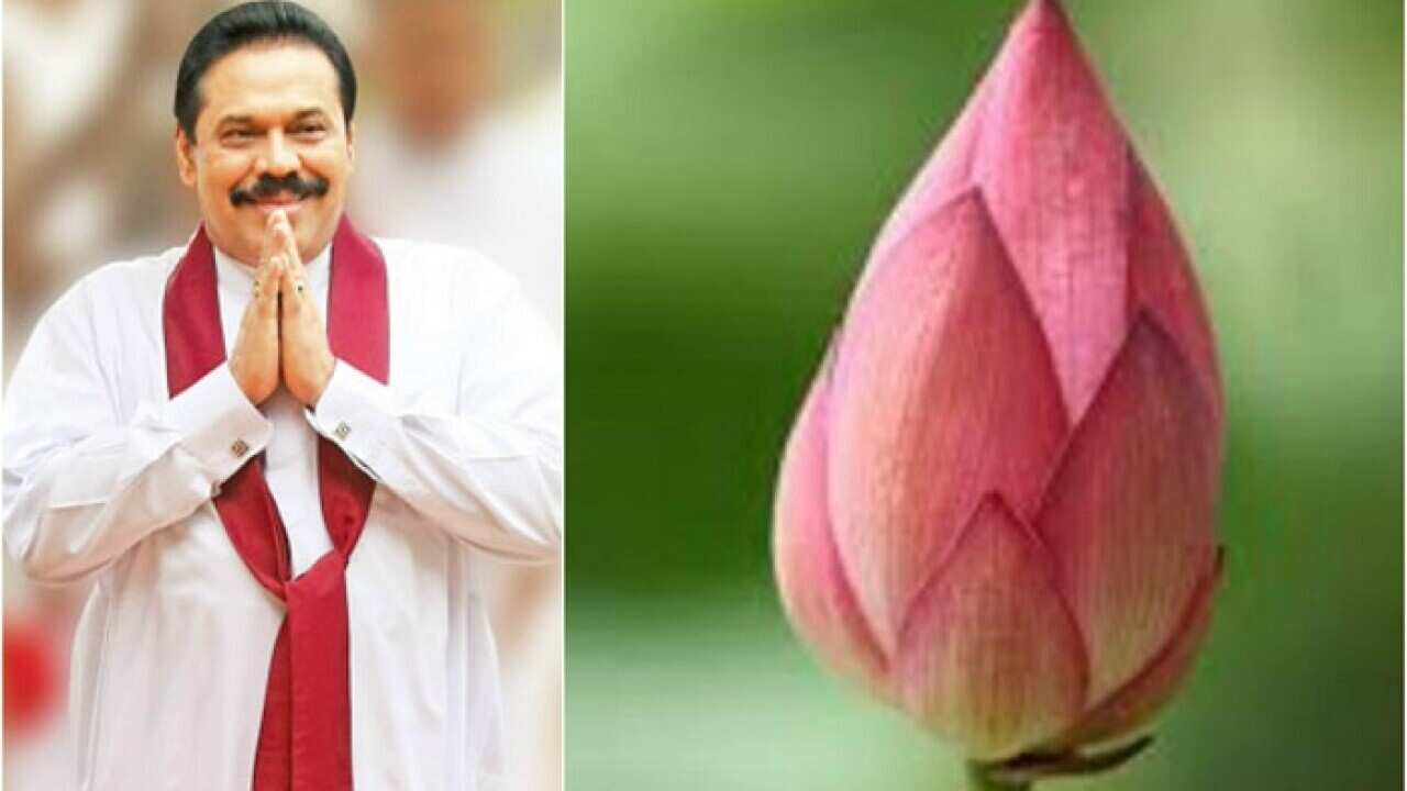 Sri Lanka Podujana Peramuna gains a massive victory.