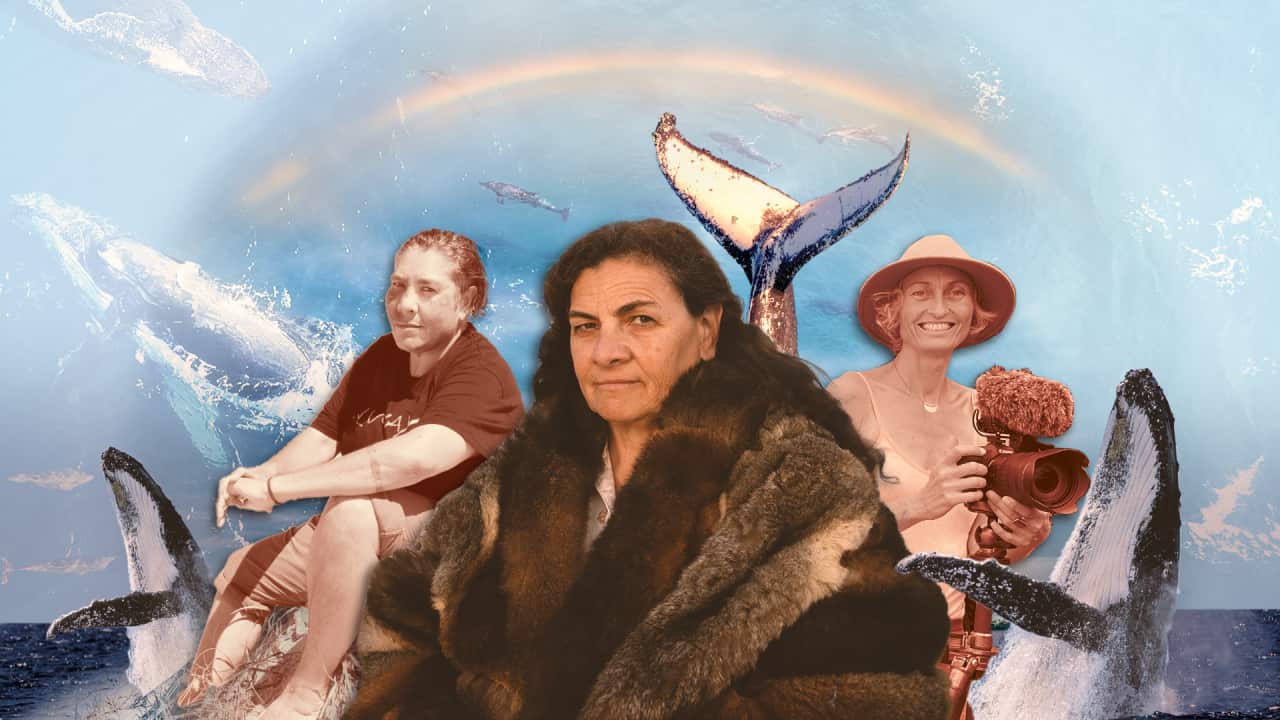 A graphic showing three Indigenous women, surrounded by ocean and cut-outs of whales.