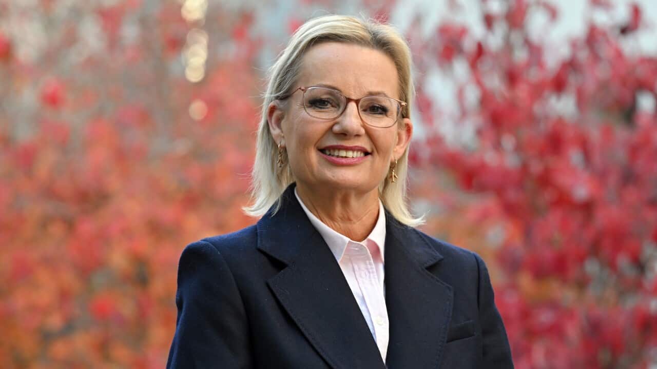 SUSSAN LEY PORTRAIT