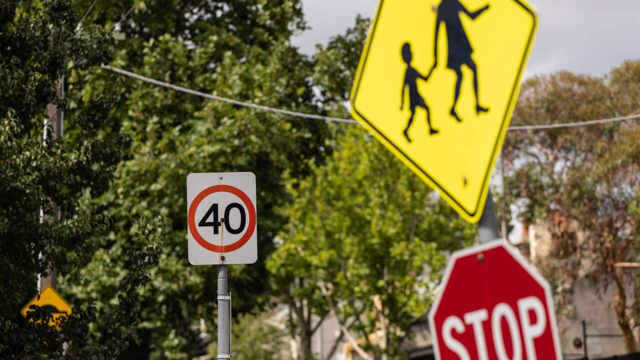 SCHOOL ZONE STOCK