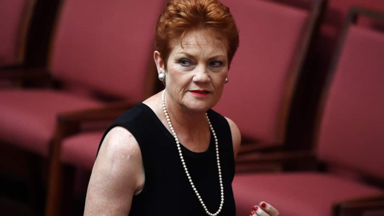 File image of One Nation leader Senator Pauline Hanson