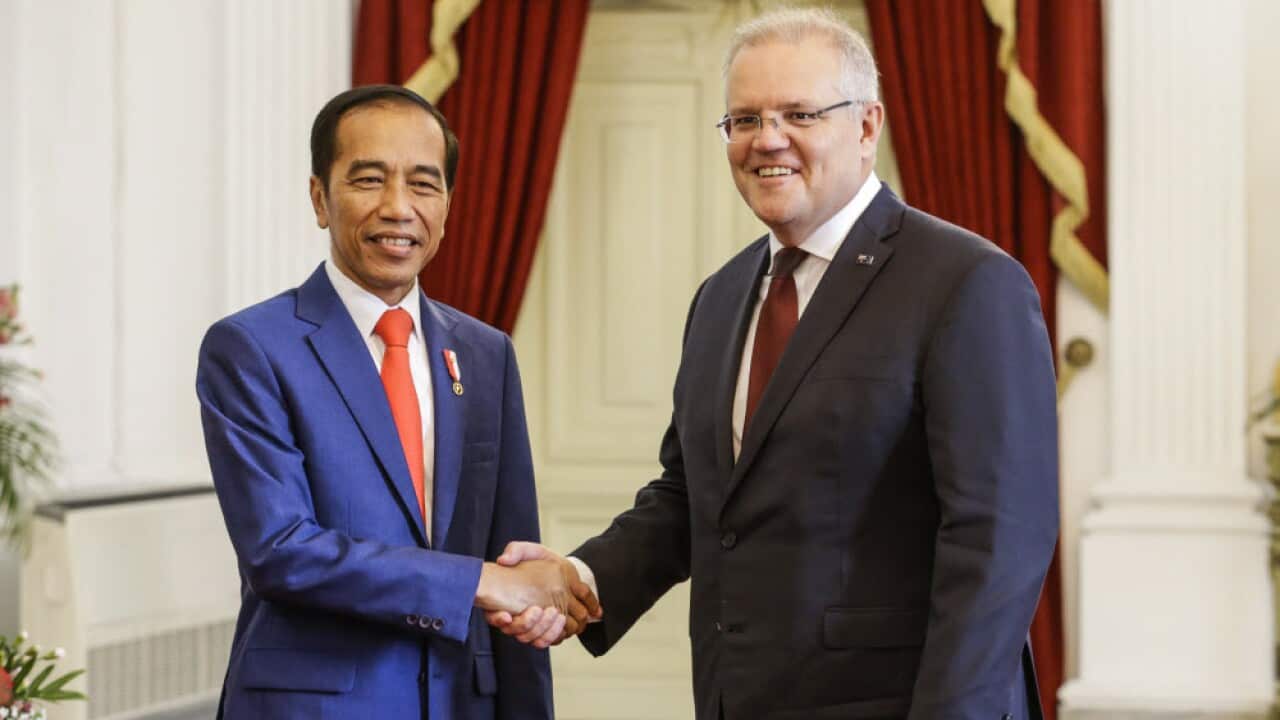 Joko Widodo (L) shakes hands with Prime Minister Scott Morrison during their meeting ahead of Mr Widodo's inauguration