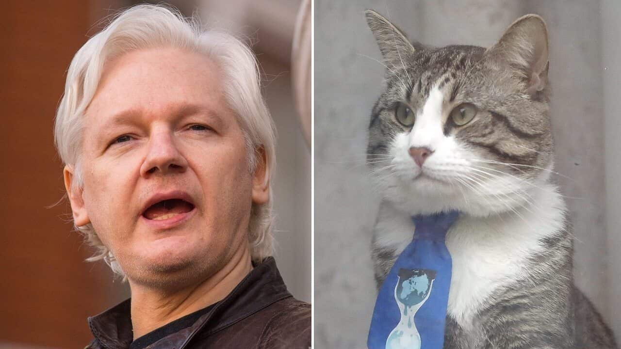 Julian Assange and his cat. He's been ordered to clean up after his cat and pay his bills.
