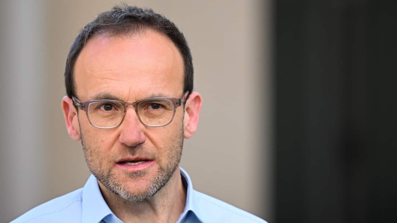 ADAM BANDT HOUSING PRESSER