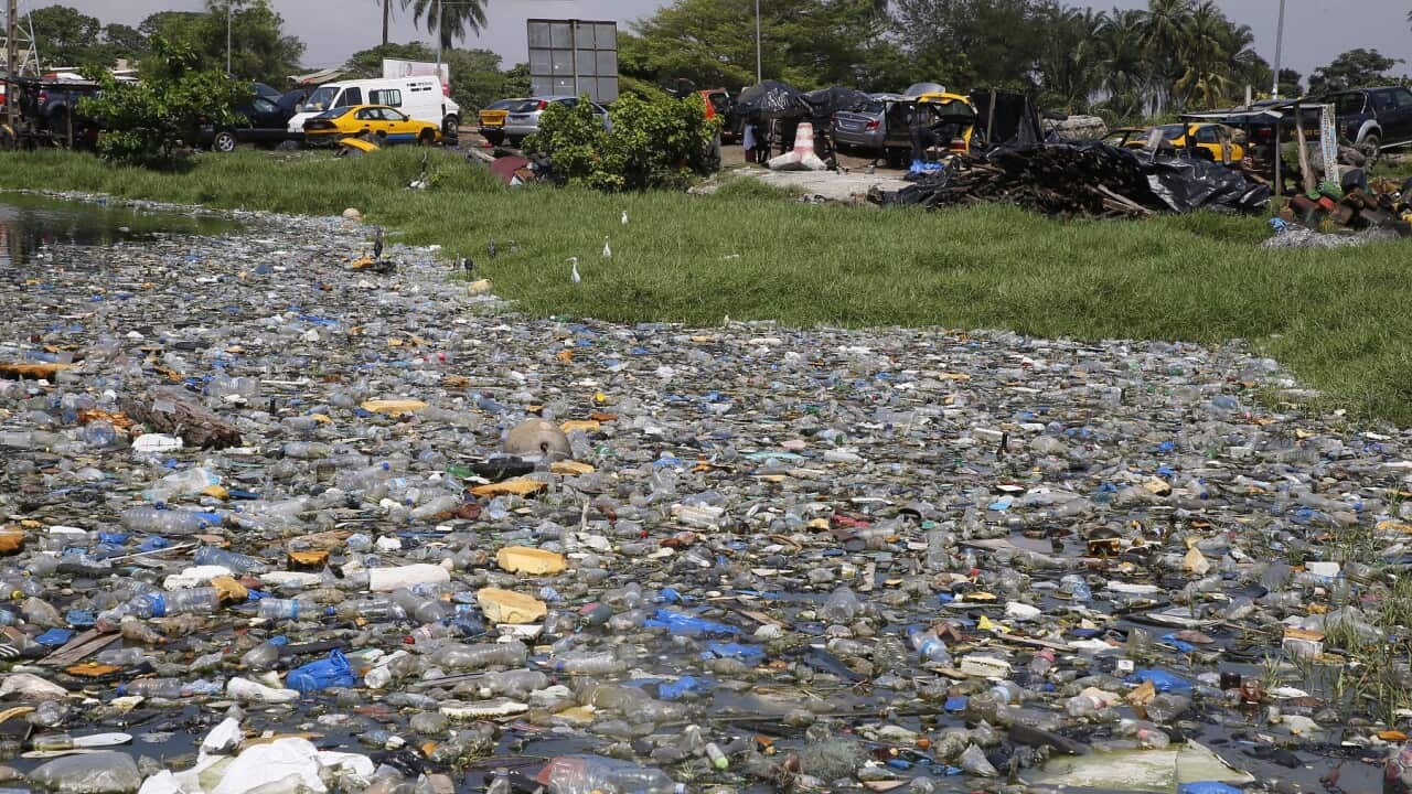 Plastic bottles float on the Ebrie lagoon in Abidjan, Ivory Coast. (EPA - LEGNAN KOULA).