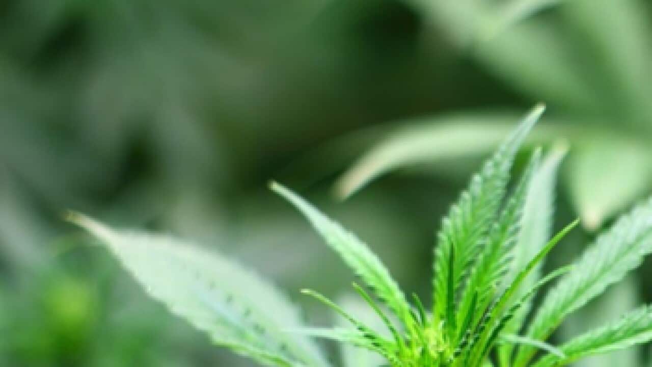 Image for read more article ''